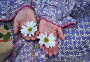 julie claire holding flowers in santa fe